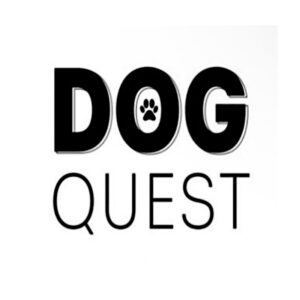 dog-quest-2.jpeg